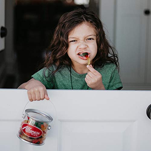 Albanese Confectionery Mini Assorted Fruit Gummi Worms, 5 Pound Bag