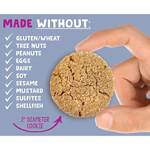 Allergy Smart Crunchy SNICKERDOODLE Chocolate Vegan Cookies | Gl...