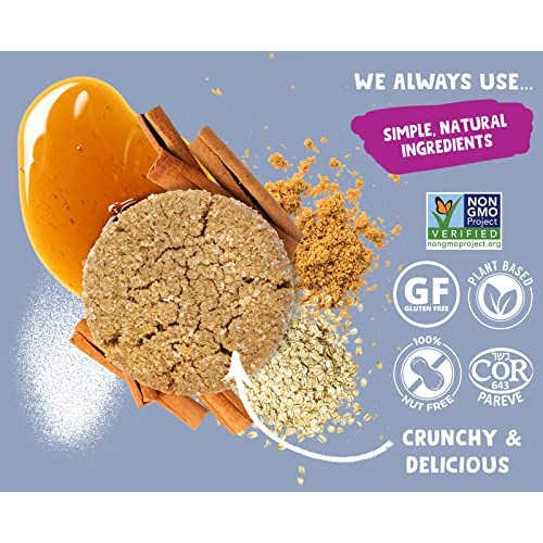 Allergy Smart Crunchy SNICKERDOODLE Chocolate Vegan Cookies | Gl...