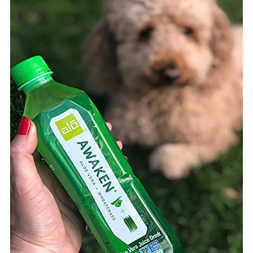 Alo Awaken Aloe Vera Juice Drink, Wheatgrass, Pack Of 12, 16.9