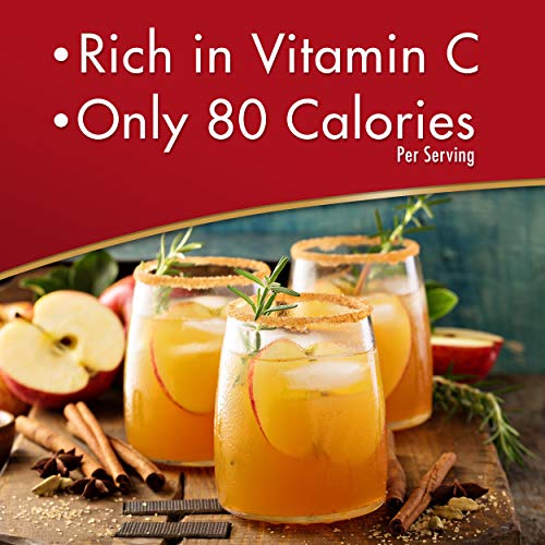 Alpine Spiced Cider Apple Flavor Original Drink Mix, 120 Pouches