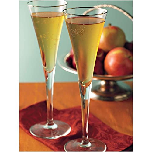 Alpine Sugar-Free Spiced Apple Cider Mix - Pack of 2