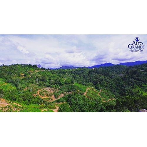 Alto Grande Super Premium Coffee Ground 8.8Oz - 12 Cans