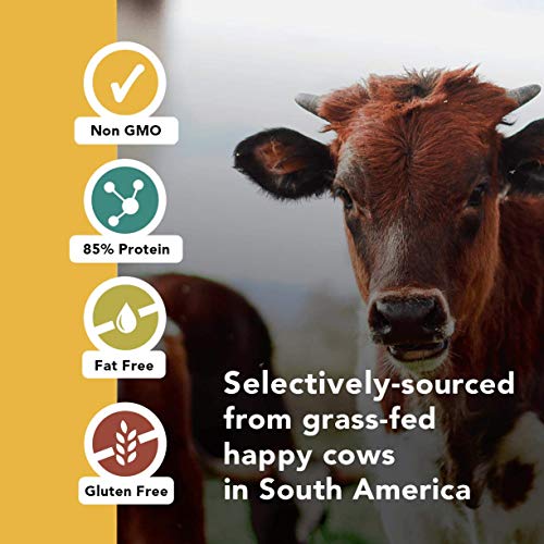 Amandean Grass Fed Beef Gelatin Powder Xl 2.2Lbs | Unflavored