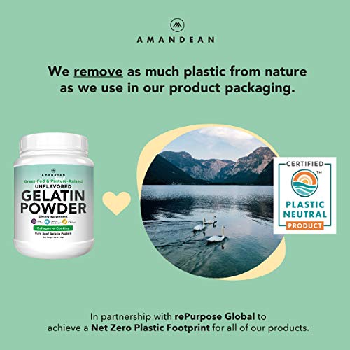 Amandean Grass Fed Beef Gelatin Powder Xl 2.2Lbs | Unflavored