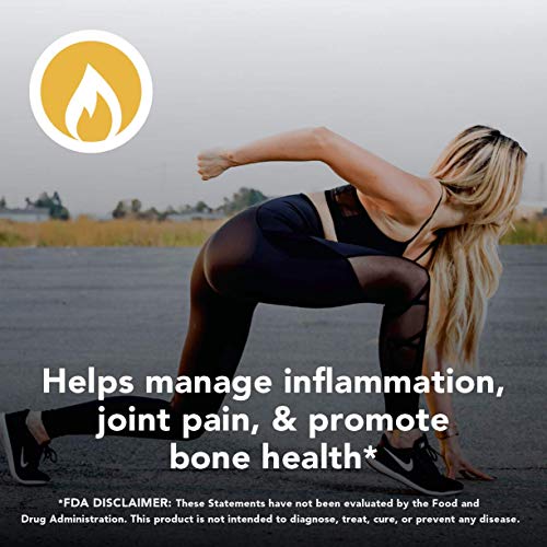 Amandean Grass Fed Beef Gelatin Powder Xl 2.2Lbs | Unflavored