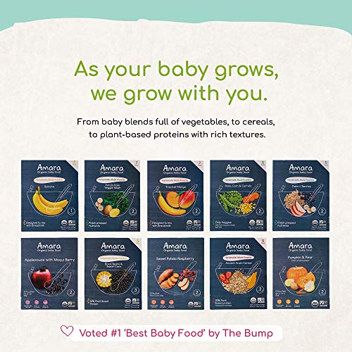 Amara Organic Baby Food | Applesauce &Amp; Maqui Berry | Homemade Ma