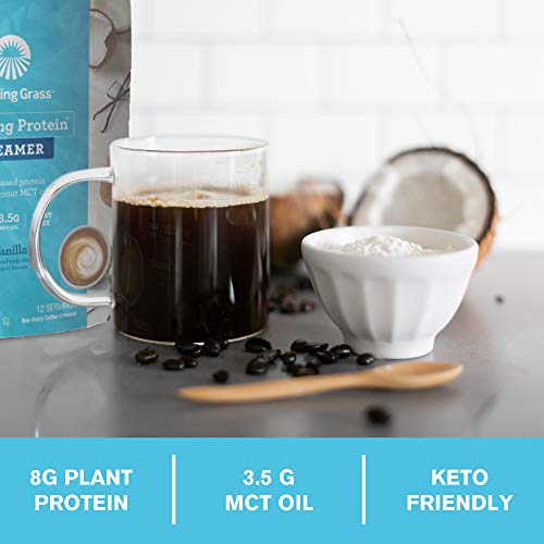 Amazing Grass Amazing Protein Creamer, Plant-Based Protein With