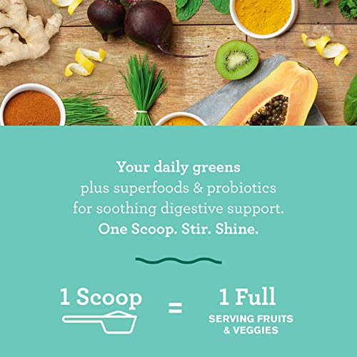 Amazing Grass Green Superfood Detox &Amp; Digest: Cleanse With Super