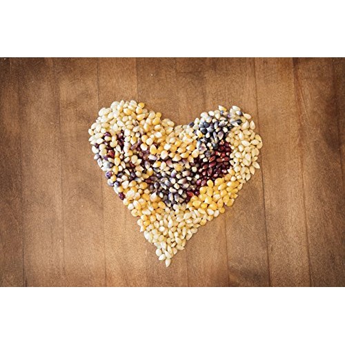 Amish Country Popcorn - 10 4 Ounce Microwave Bowl Gift Set - O