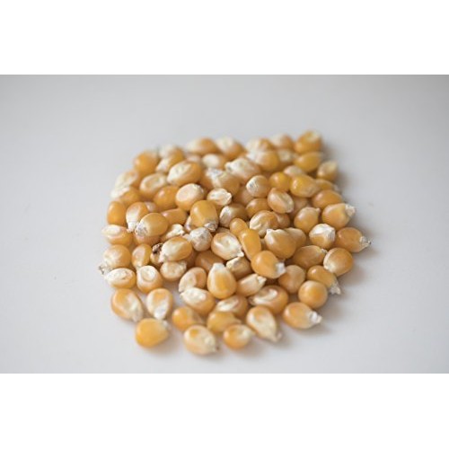 Amish Country Popcorn - 2 Lb Mushroom Kernels - Old Fashioned, N