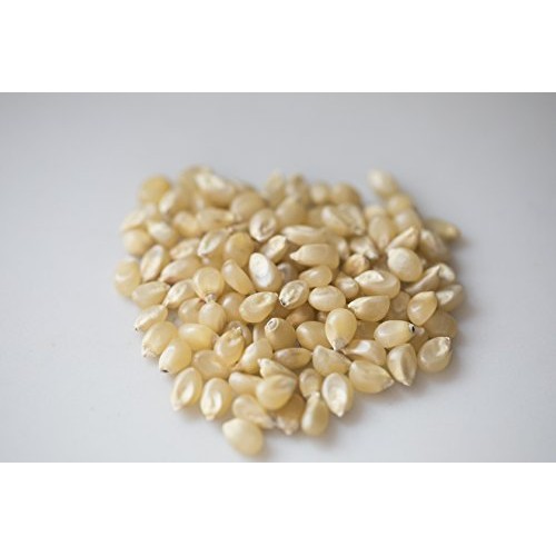 Amish Country Popcorn | 3 2 Pound Bags Medium White Kernels Gi