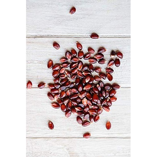 Amish Country Popcorn | 6 Lb Bag | Red Popcorn Kernels | Old Fas