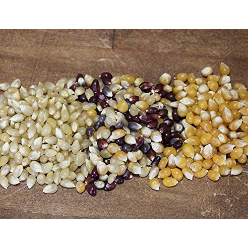 Amish Country Popcorn - 6 Lb Burlap Gift Set, 3 2 Pound Bags M