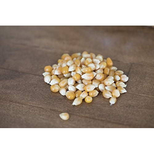 Amish Country Popcorn - 6 Lb Extra Large Caramel Type Kernels -