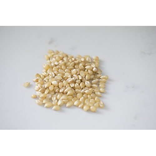 Amish Country Popcorn - 6 Lb Medium White Kernels - Old Fashione