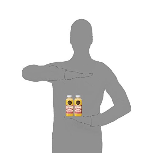 Amish Country Popcorn | Buttery Popcorn Topping - 2 - 16 Oz Bott