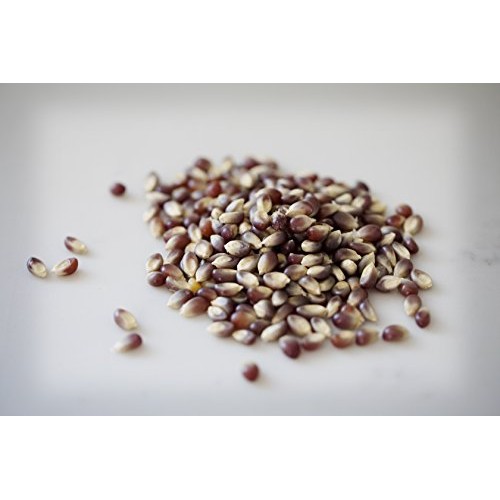 Amish Country Popcorn - Old Fashioned Purple Popcorn - Non Gmo,