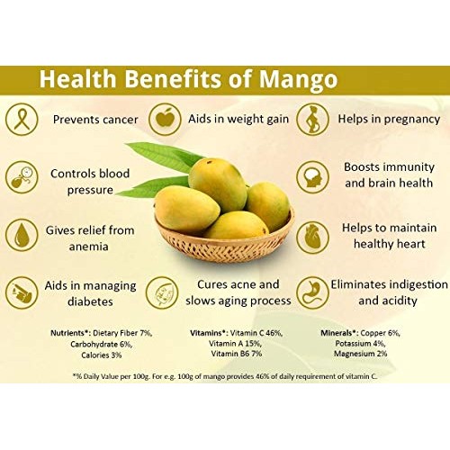 Dried Mango - Organic Soft Dried Mangoes No Sugar Added - Vegan