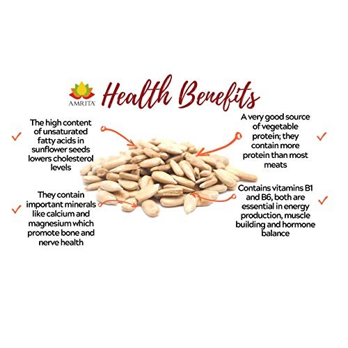 Top 9 Allergy Free Nuts Sunflower Salted, 1 Lb