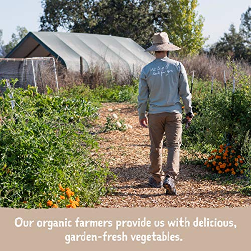 Amys Organic Lentil Soup, Non Gmo, Usda Organic, Vegan, 14.5-Ounce