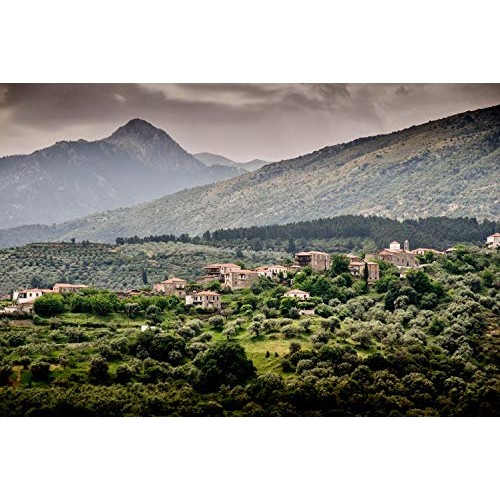 Ancient Foods – Organic Greek Extra Virgin Olive Oil – Fresh Har