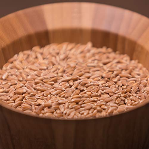 48 Lbs Organic Spelt Berries Farro Grande