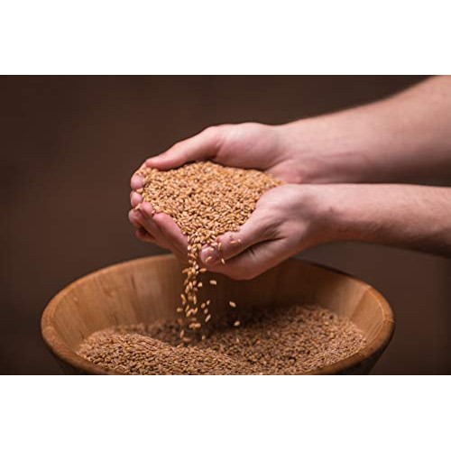 25 Lbs Organic Einkorn Berries