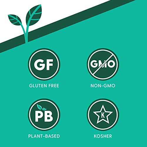 Ancient Harvest Gluten Free Plant-Based Protein Pasta, Red Lenti