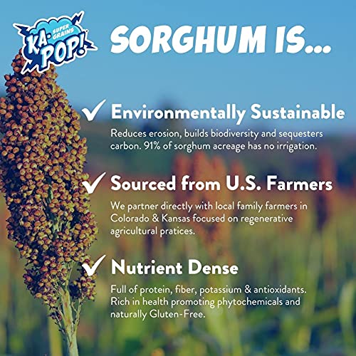 Ka-Pop! Ancient Grain Puffs, Dairy Free Cheddar 1Oz, Pack Of 24