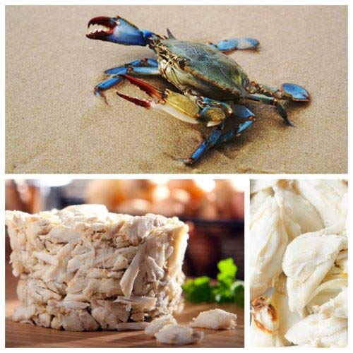 Blue Crab Meat Lump