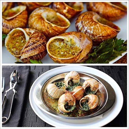 Escargot Snails