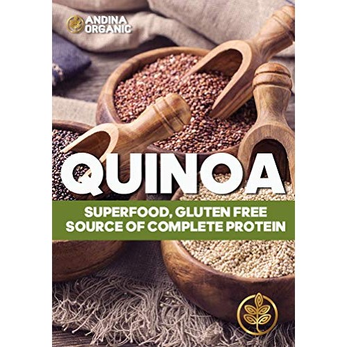Andina Organic - Premium Gluten Free Quinoa Flour | Ideal for Gl...