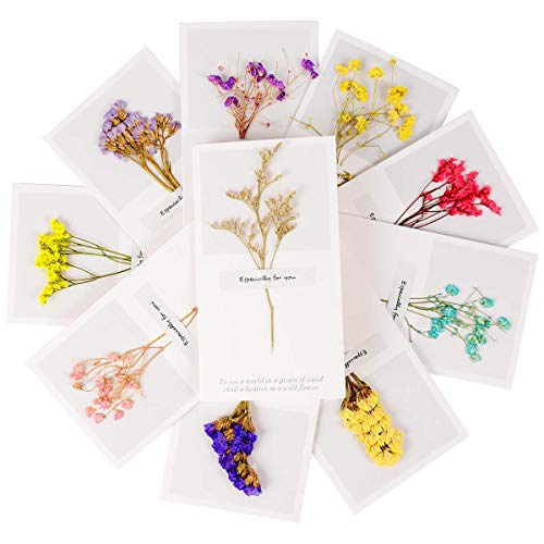 Andy Anand’S California Dark Chocolate Covered Ginger 1 Lbs, For