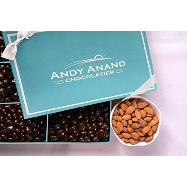 Andy Anand’S Chocolate Covered 2 Pounds Of Almonds And Blueberri