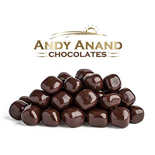Andy Anand Vegan Dark Chocolate Covered California Ginger Wholes