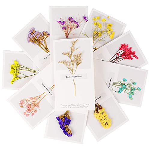 Andy Anand Dark Chocolate English Toffee with Nuts, Amazingly De...