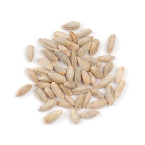 Rye Berries, 25 Pound Box