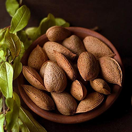 Anna And Sarah Almonds In Shell, Raw, Natural, Whole, Jumbo Cali