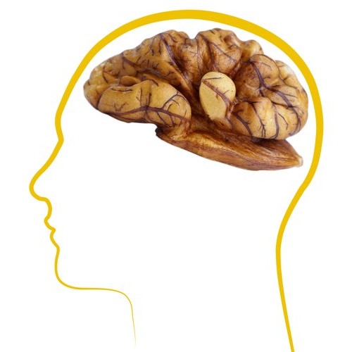 Anna And Sarah Walnut California Light Halves &Amp; Pieces 3 Lbs - 4