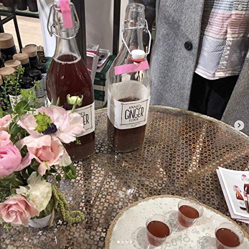 Annies Ginger Elixir 17 Oz - 6-Pack