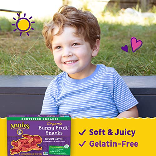 Annies Homegrown Berry Patch Organic Fruit Snacks, 0.8 Oz, 5 Count
