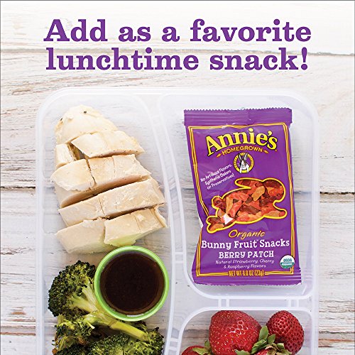 Annies Homegrown Berry Patch Organic Fruit Snacks, 0.8 Oz, 5 Count