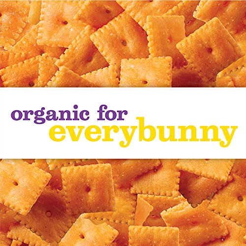 Annies Organic Cheddar Squares Baked Snack Crackers 11.25 Oz