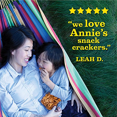 Annies Organic Cheddar Squares Baked Snack Crackers 11.25 Oz