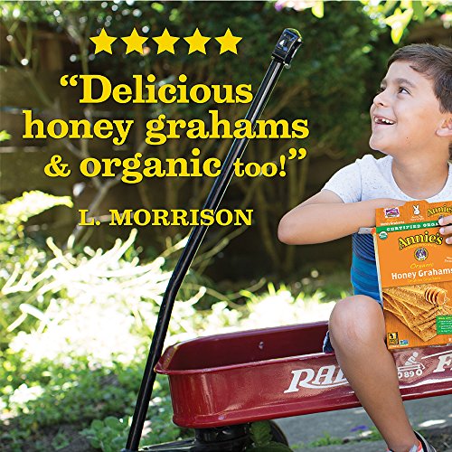 Annies Organic Graham Crackers, Honey Grahams, 14.4 Oz Box