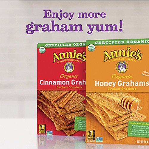 Annies Organic Honey Graham Crackers Pack Of 4
