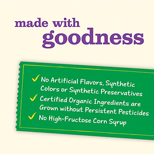 Annies Organic Honey Graham Crackers Pack Of 4