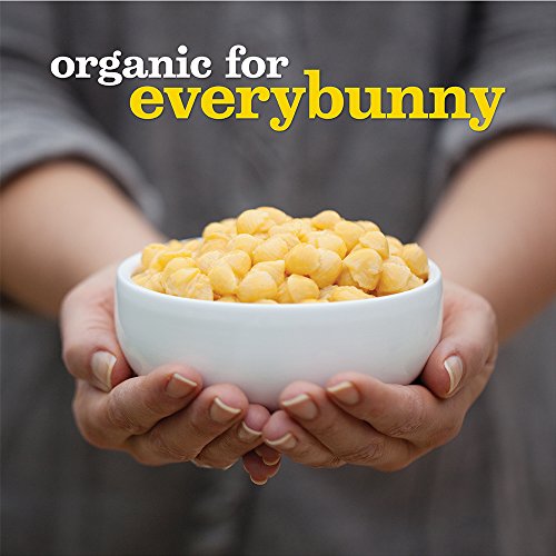 Annies Organic Vegan Shell &Amp; Creamy Sauce Dinner Pasta, 6 Oz