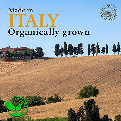 Morelli Pasta Farro - Organic Spelt Spaghetti Made In Italy With
